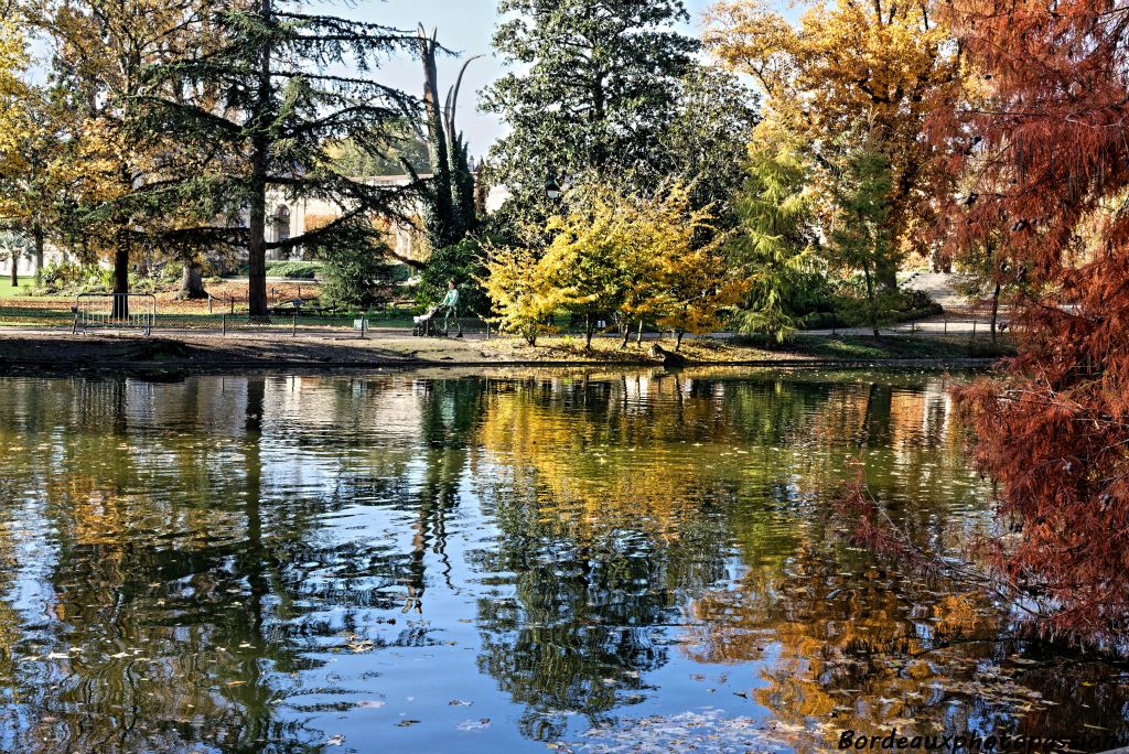 Miroir, mon beau miroir, quel est le plus bel arbre de ce jardin ?